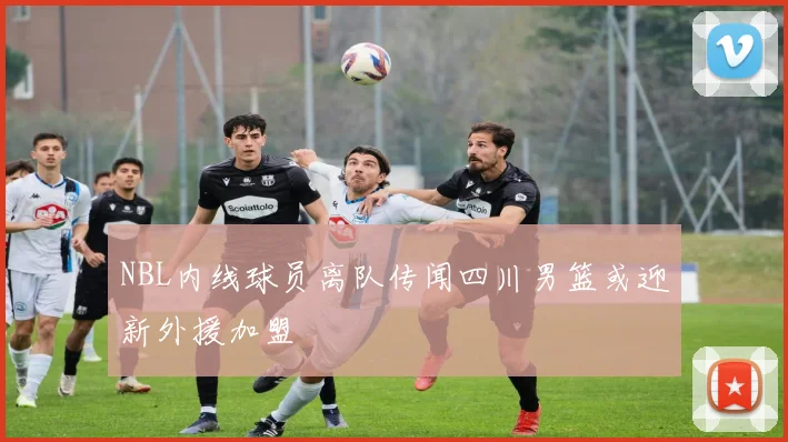 NBL内线球员离队传闻四川男篮或迎新外援加盟