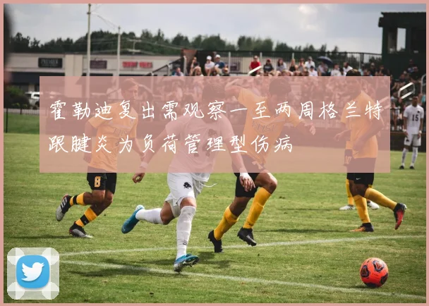 霍勒迪复出需观察一至两周格兰特跟腱炎为负荷管理型伤病